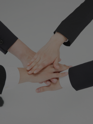 Ongoing Support & Upgrades